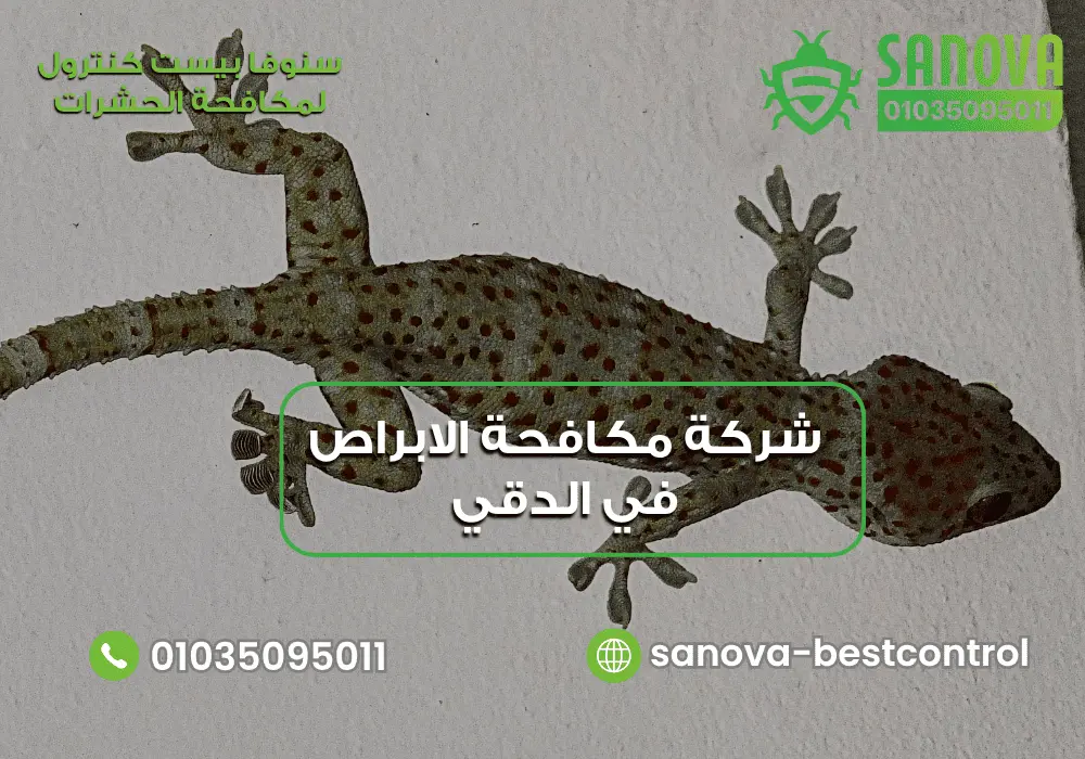شركة مكافحة الابراص في الدقي | سنوفا 01035095011 شركة رش الابراص في الدقي مع سنوفا بست كنترول 01035095011