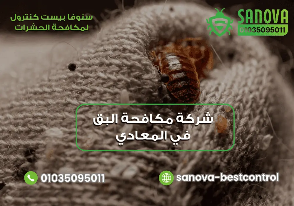 شركة مكافحة البق في المعادي | سنوفا 01035095011 شركة رش البق في المعادي مع سنوفا بست كنترول 01035095011