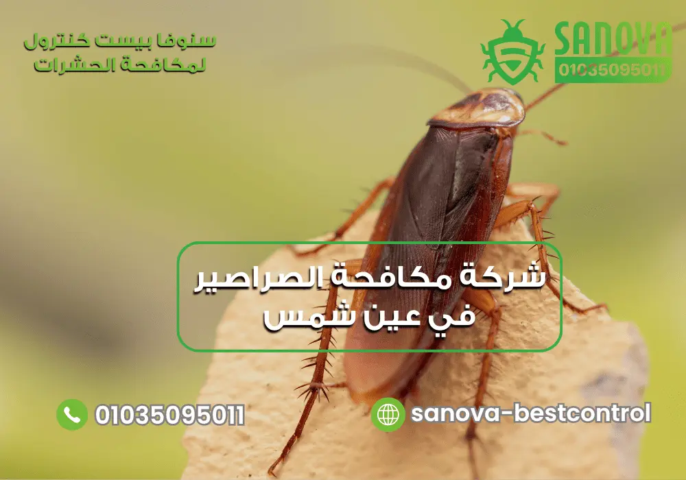 شركة رش الصراصير في عين شمس مع سنوفا بست كنترول 01035095011
