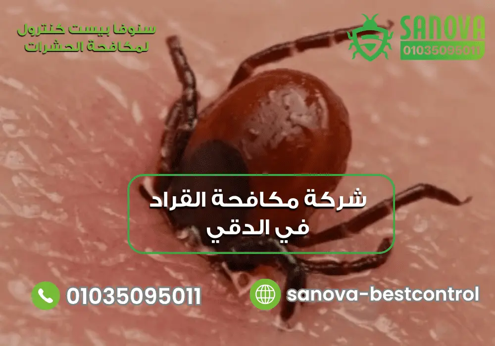 شركة مكافحة القراد في المرج | سنوفا 01035095011