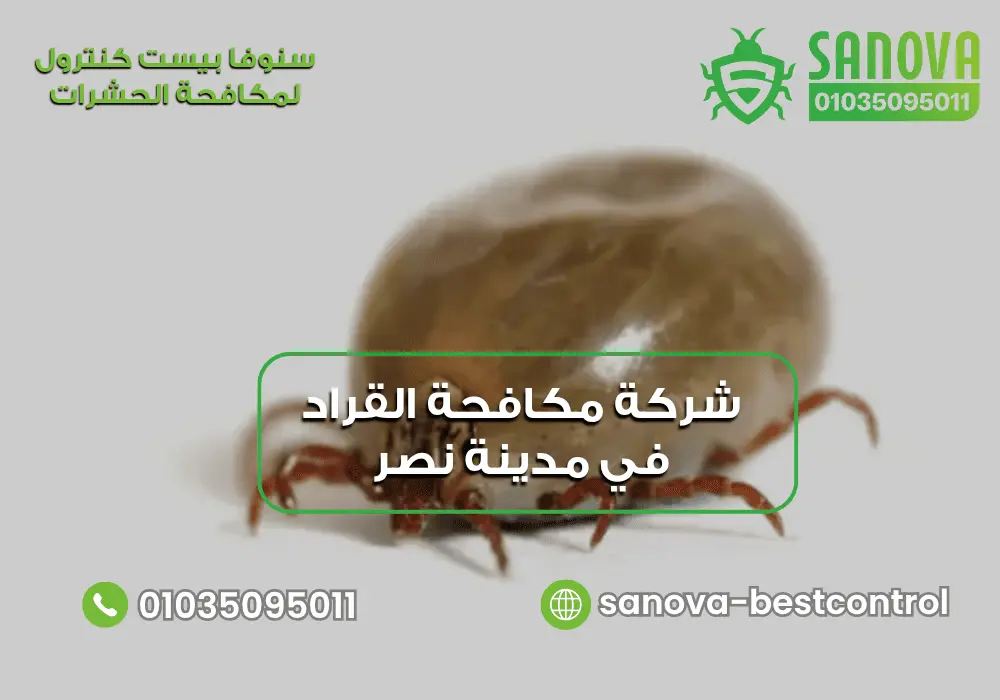 شركة مكافحة القراد في مدينة نصر 01035095011 شركة رش القراد في مدينة نصر مع سنوفا بست كنترول 01035095011