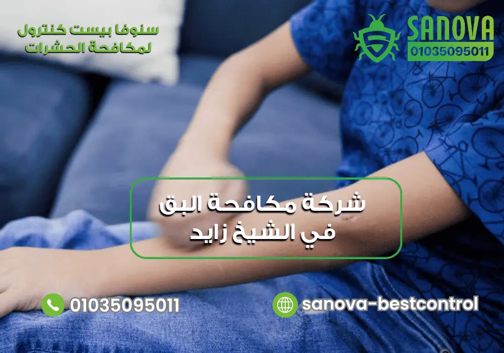 شركة مكافحة البق في الشيخ زايد | سنوفا 01035095011 شركة مكافحة البق في المراتب والأثاث مع سنوفا بست كنترول 01035095011