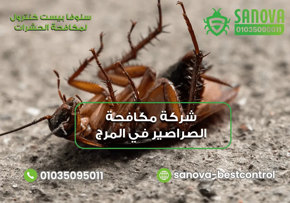 شركة مكافحة الصراصير في المرج مع سنوفا بست كنترول 01035095011