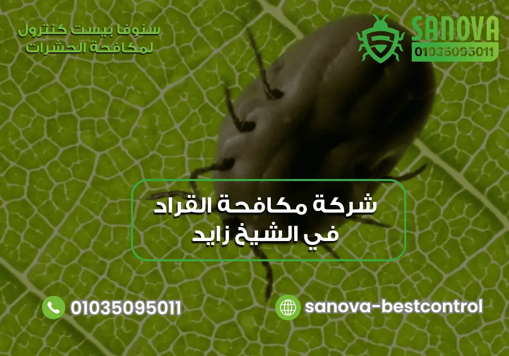 شركة مكافحة القراد في الشيخ زايد | سنوفا 01035095011