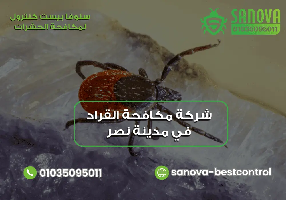 شركة مكافحة القراد في مدينة نصر 01035095011 شركة مكافحة القراد في مدينة نصر سنوفا 01035095011