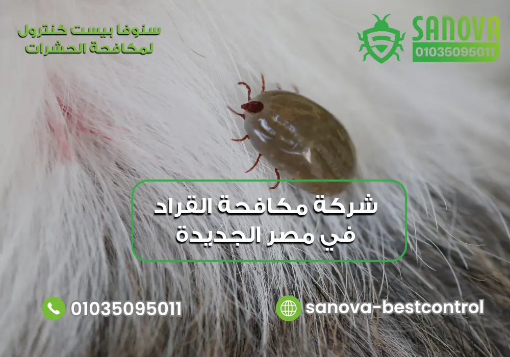 شركة مكافحة القراد في مصر الجديدة | سنوفا 01035095011