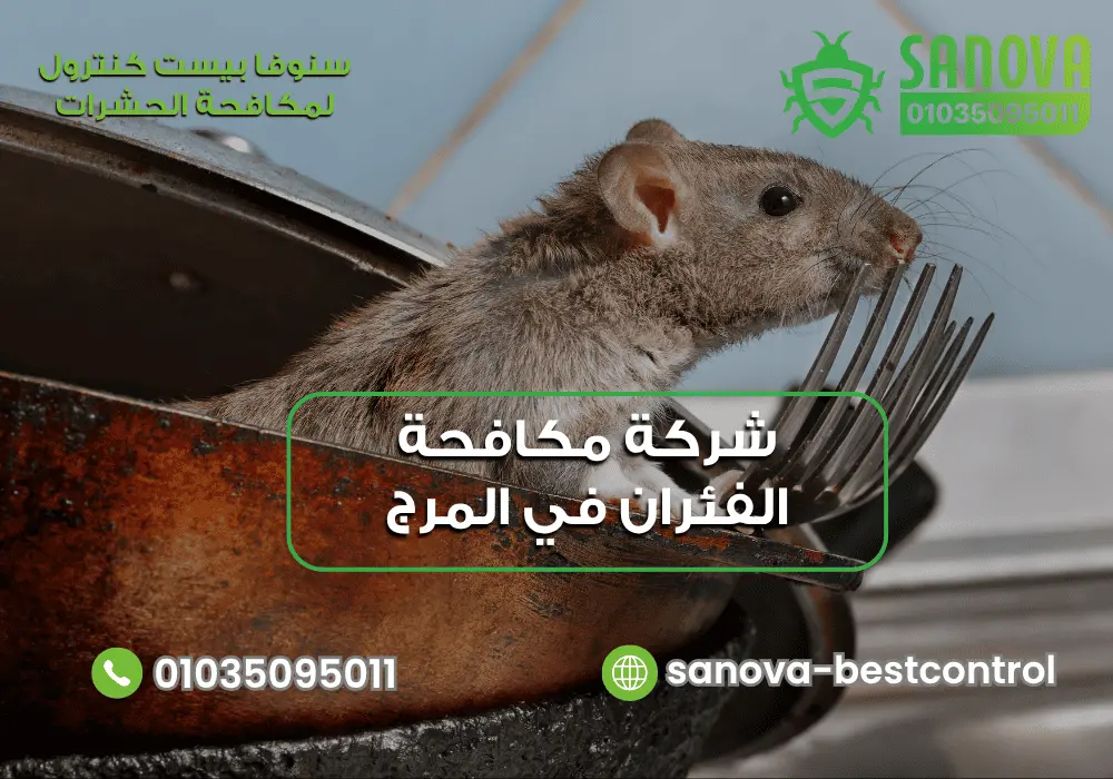 شركة مكافحة القوارض في المرج مع سنوفا بست كنترول 01035095011