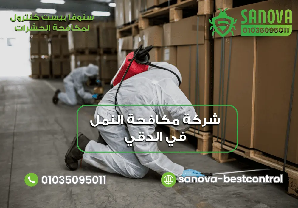 شركة مكافحة النمل في الدقي | سنوفا 01035095011