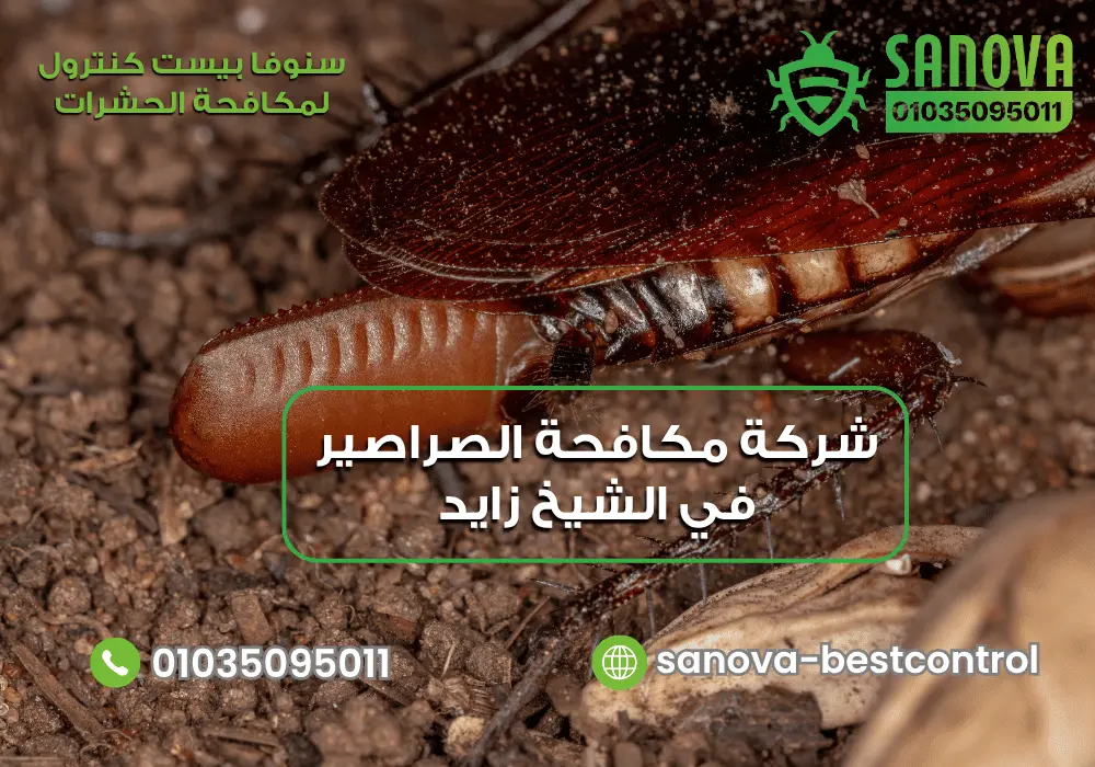 مكافحة بيض الصراصير مع سنوفا بست كنترول 01035095011