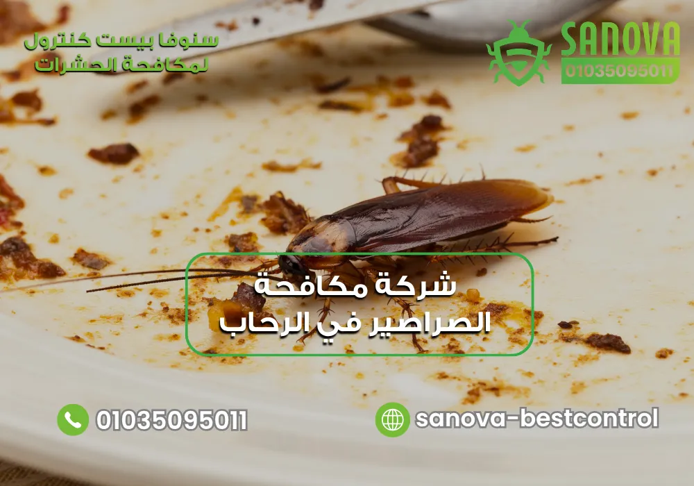 شركة مكافحة الصراصير في الرحاب | سنوفا 01035095011