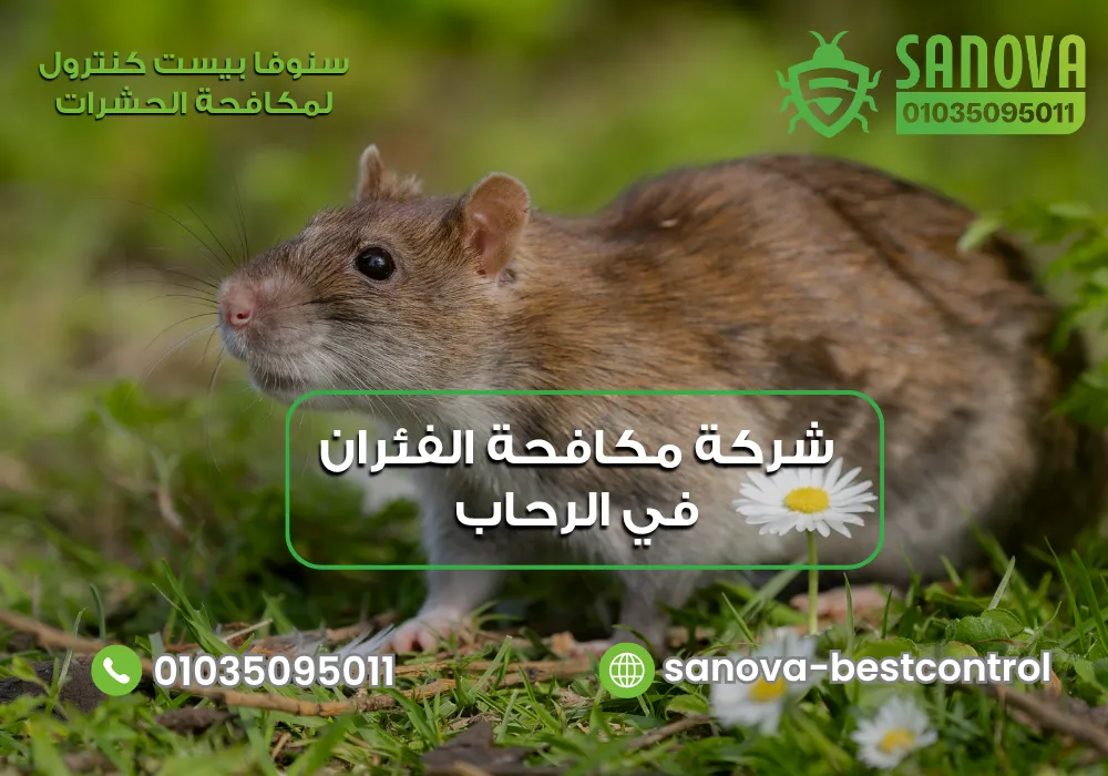 شركة مكافحة الفئران في الرحاب | سنوفا 01035095011 أسعار مكافحة الفئران في الرحاب مع سنوفا بست كنترول 01035095011