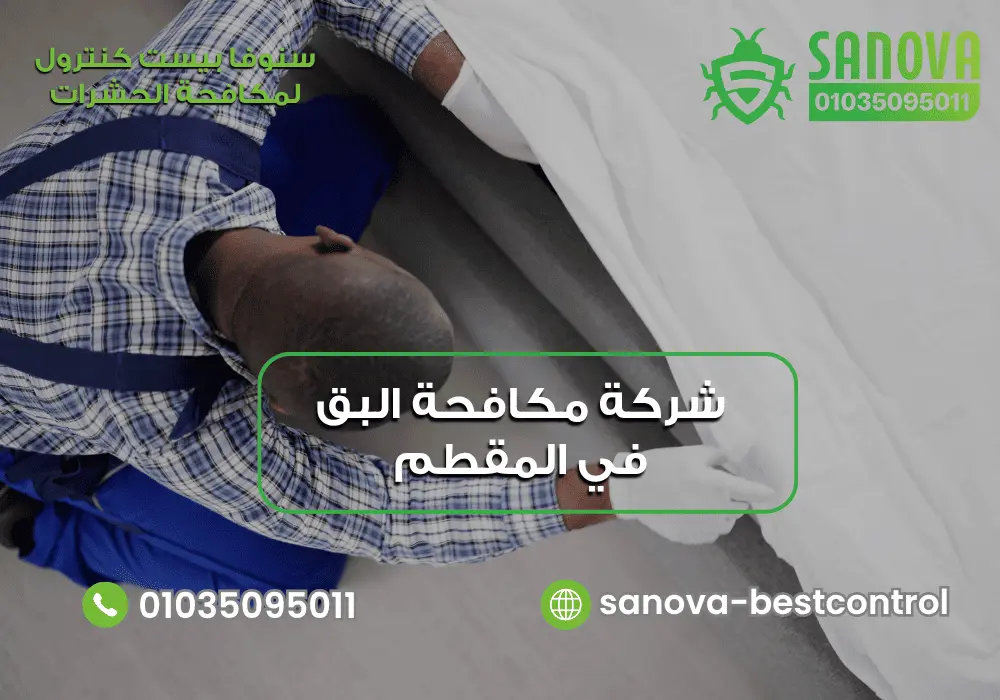 أفضل شركة مكافحة البق في المقطم مع سنوفا بست كنترول 01035095011