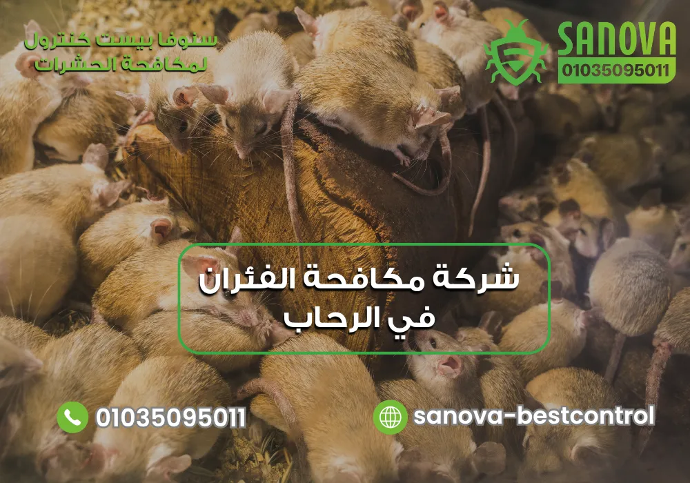 شركة مكافحة الفئران في الرحاب | سنوفا 01035095011 إبادة الفئران في المنازل بالرحاب مع سنوفا بست كنترول 01035095011