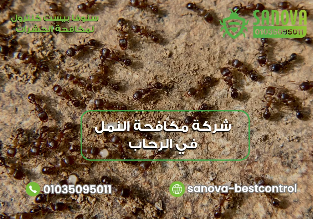 اسعار شركة مكافحة حشرات في الرحاب مع سنوفا بست كنترول 01035095011
