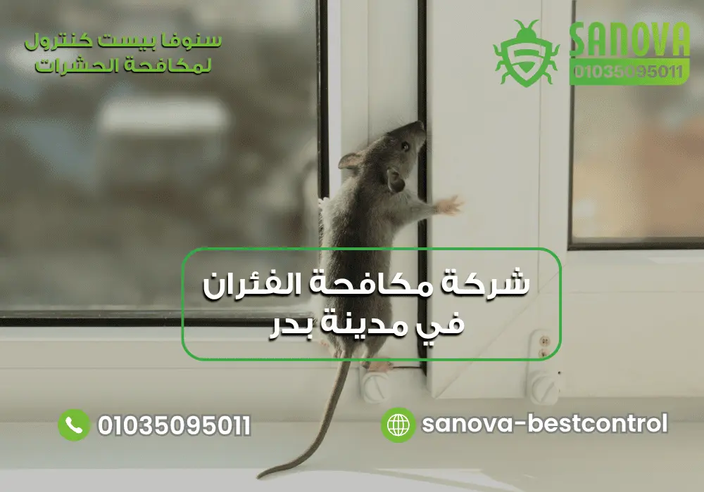 شركة مكافحة الفئران في مدينة بدر | سنوفا 01035095011 اسعار مكافحة الفئران في مدينة بدر مع سنوفا بست كنترول 01035095011