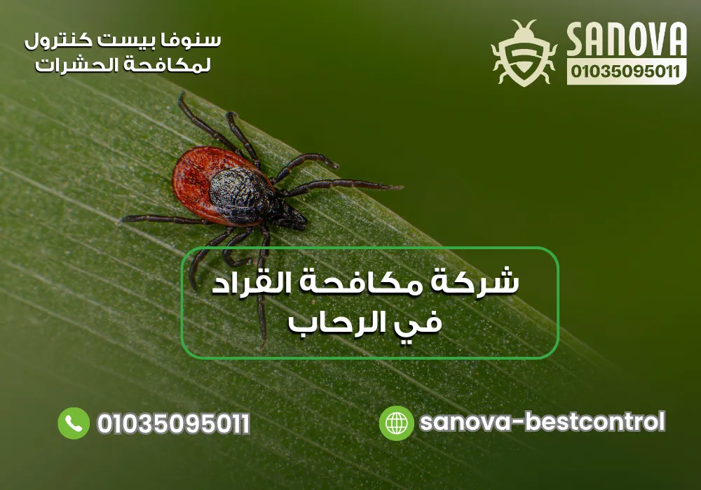 شركة مكافحة القراد في الرحاب | سنوفا 01035095011 التخلص من القراد في الرحاب مع سنوفا بست كنترول 01035095011