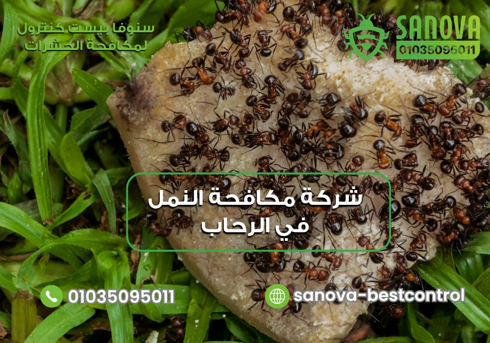 التخلص من النمل نهائياً في الرحاب مع سنوفا بست كنترول 01035095011