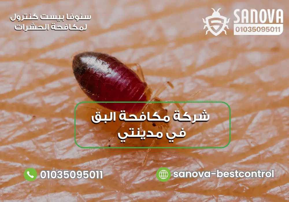 شركة مكافحة البق في مدينتي | سنوفا 01035095011 التخلص من بق الفراش في مدينتي مع سنوفا بست كنترول 01035095011