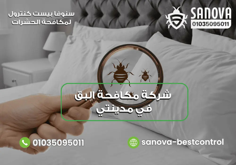 القضاء على البق في مدينتي مع سنوفا بست كنترول 01035095011