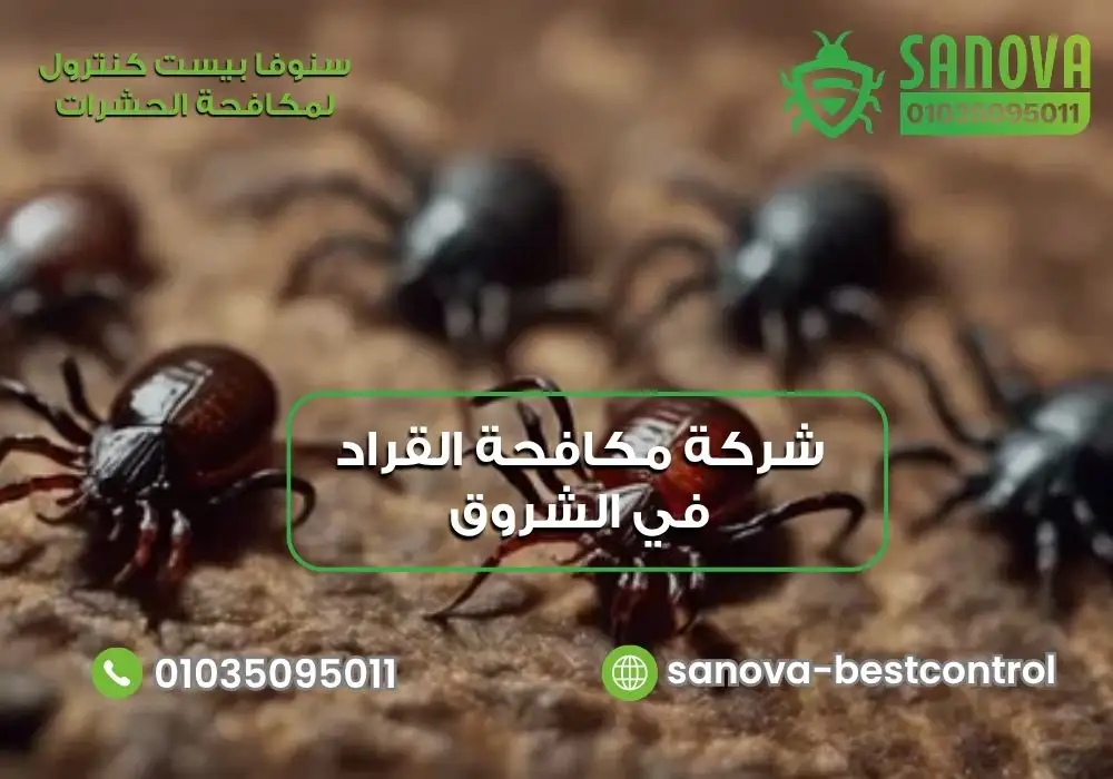 شركة مكافحة القراد في الشروق مع سنوفا بست كنترول 01035095011