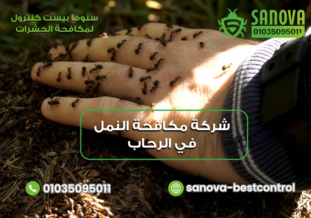 القضاء على النمل في الرحاب مع سنوفا بست كنترول 01035095011