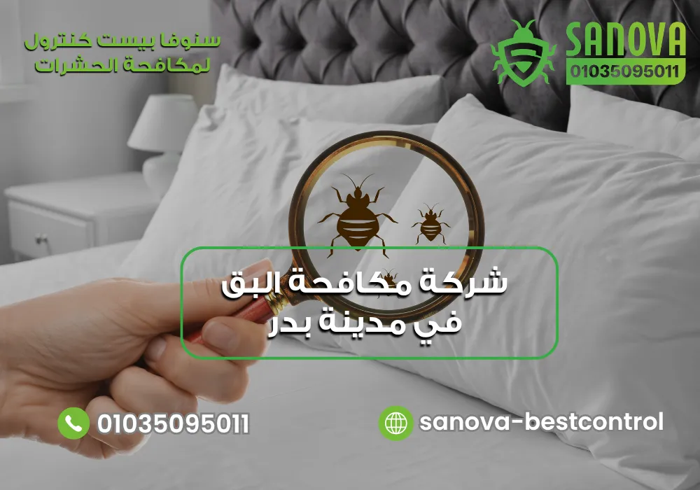 القضاء على بق الفراش في مدينة بدر مع سنوفا بست كنترول 01035095011