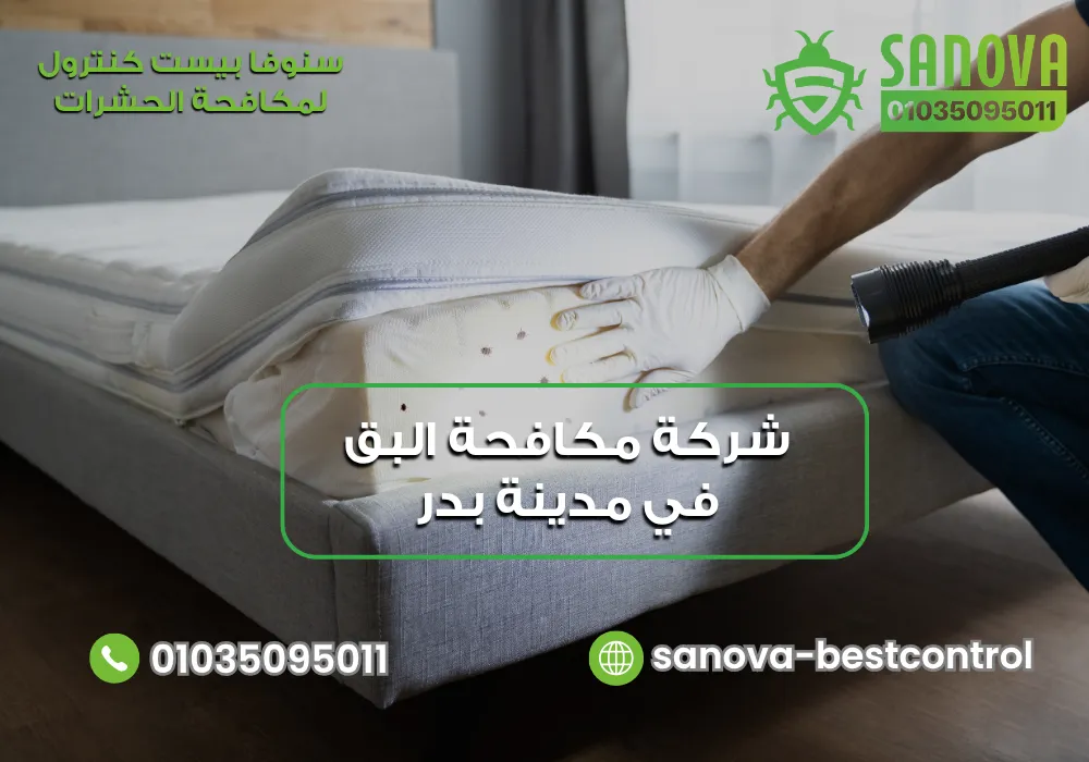 رش البق في مدينة بدر مع سنوفا بست كنترول 01035095011