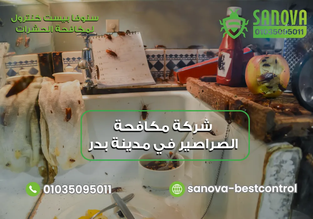شركة مكافحة الصراصير في مدينة بدر | سنوفا 01035095011 رش الصراصير في مدينة بدر مع سنوفا بست كنترول 01035095011