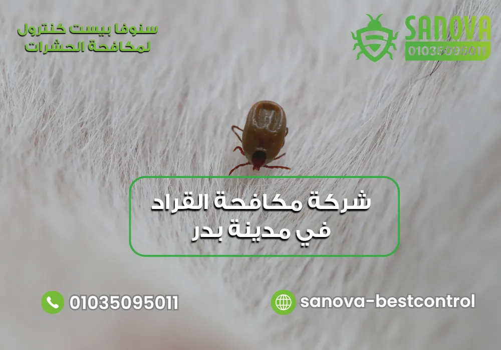 شركة مكافحة القراد في مدينة بدر | سنوفا 01035095011 رش القراد مع افضل شركة مكافحة القراد في مدينة بدر سنوفا بست كنترول 01035095011