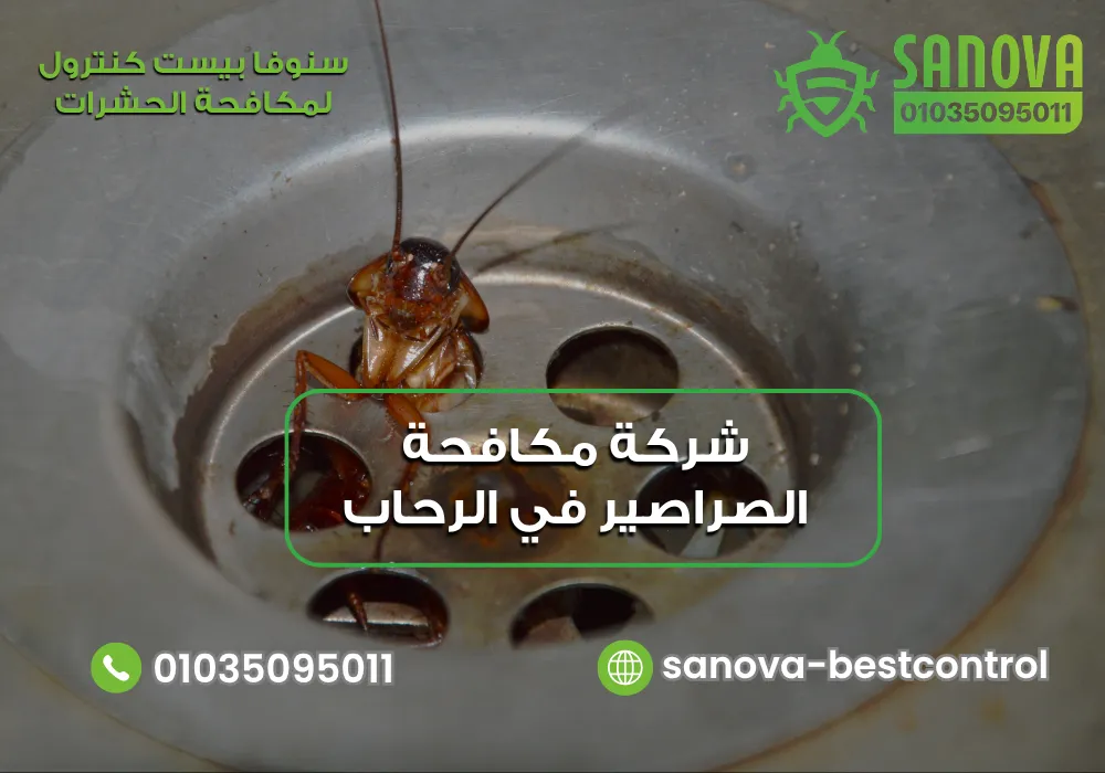 رقم شركة مكافحة الصراصير في الرحاب مع سنوفا بست كنترول 01035095011