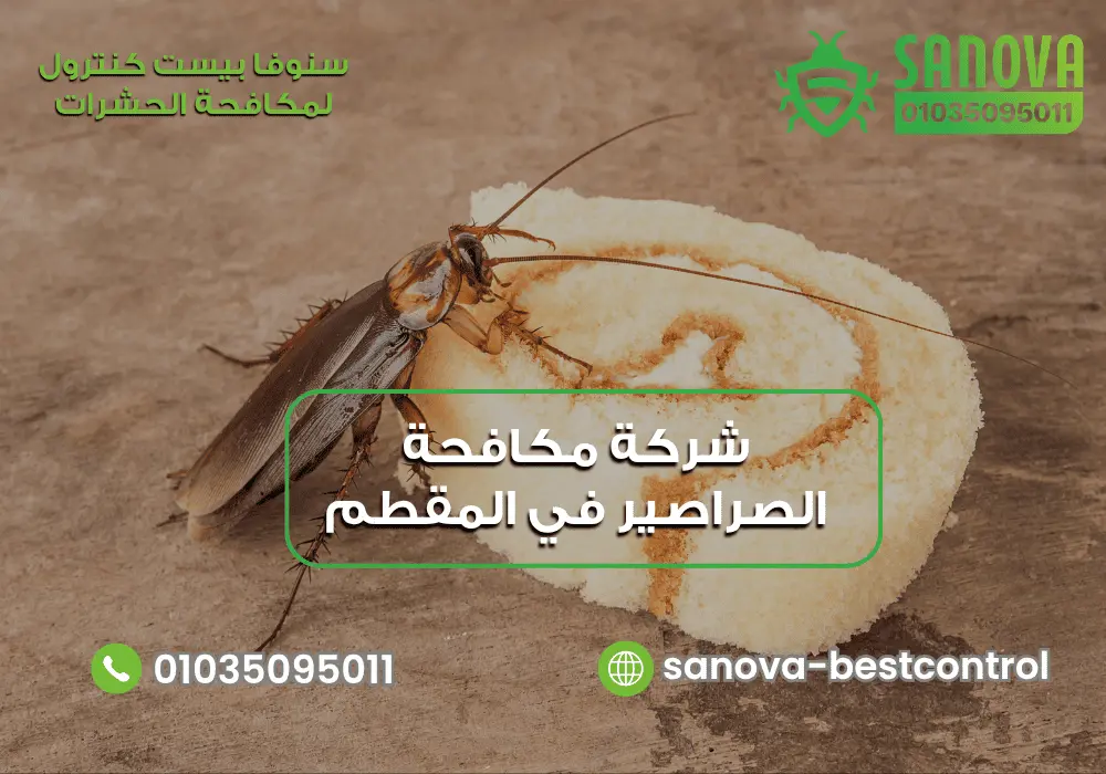 شركة مكافحة الصراصير في المقطم | سنوفا 01035095011
