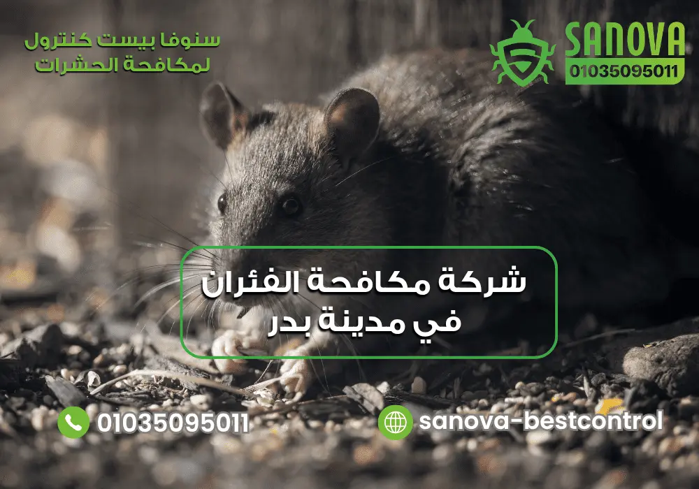 شركة مكافحة الفئران في مدينة بدر | سنوفا 01035095011 رقم شركة مكافحة الفئران في مدينة بدر مع سنوفا بست كنترول 01035095011