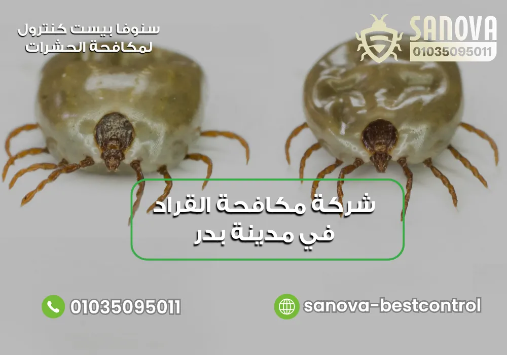 شركة مكافحة القراد في مدينة بدر | سنوفا 01035095011 رقم شركة مكافحة القراد بمدينة بدر مع سنوفا بست كنترول 01035095011