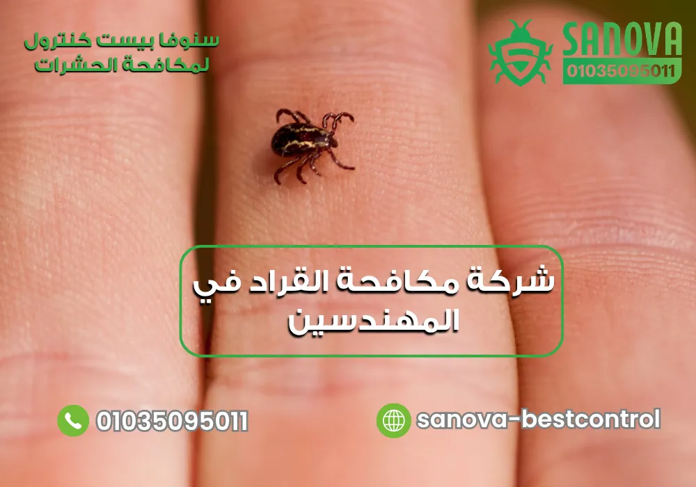 شركة مكافحة القراد في المهندسين | سنوفا 01035095011 رقم شركة مكافحة القراد في المهندسين مع سنوفا بست كنترول 01035095011