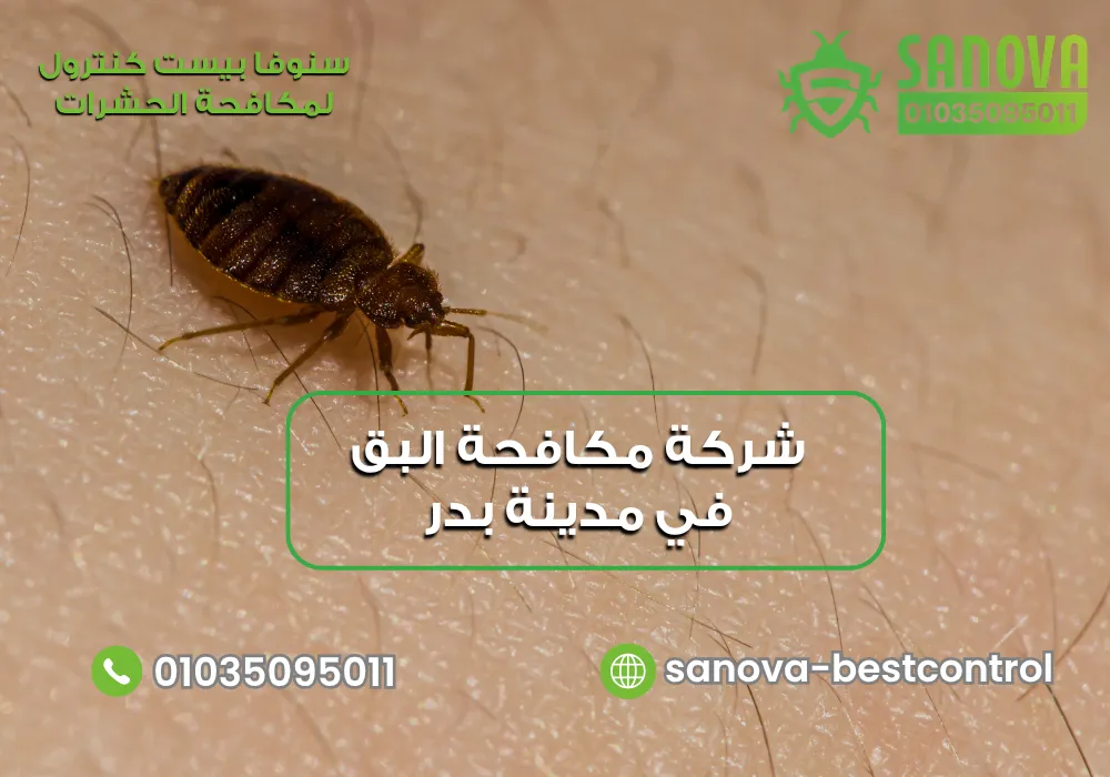 رقم شركة مكافحة حشرات في مدينة بدر مع سنوفا بست كنترول 01035095011