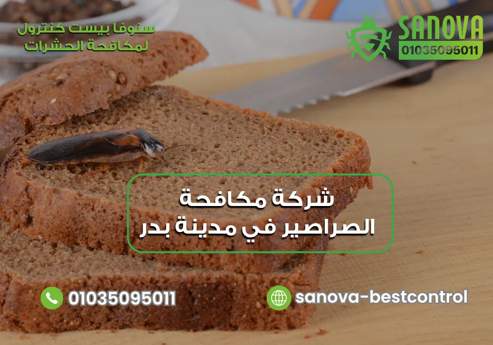 شركة مكافحة الصراصير في مدينة بدر | سنوفا 01035095011 رقم شركة مكافحة حشرات في مدينة بدر مع سنوفا بست كنترول 01035095011