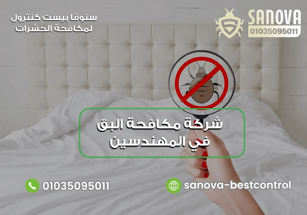شركة مكافحة البق في المهندسين | سنوفا 01035095011