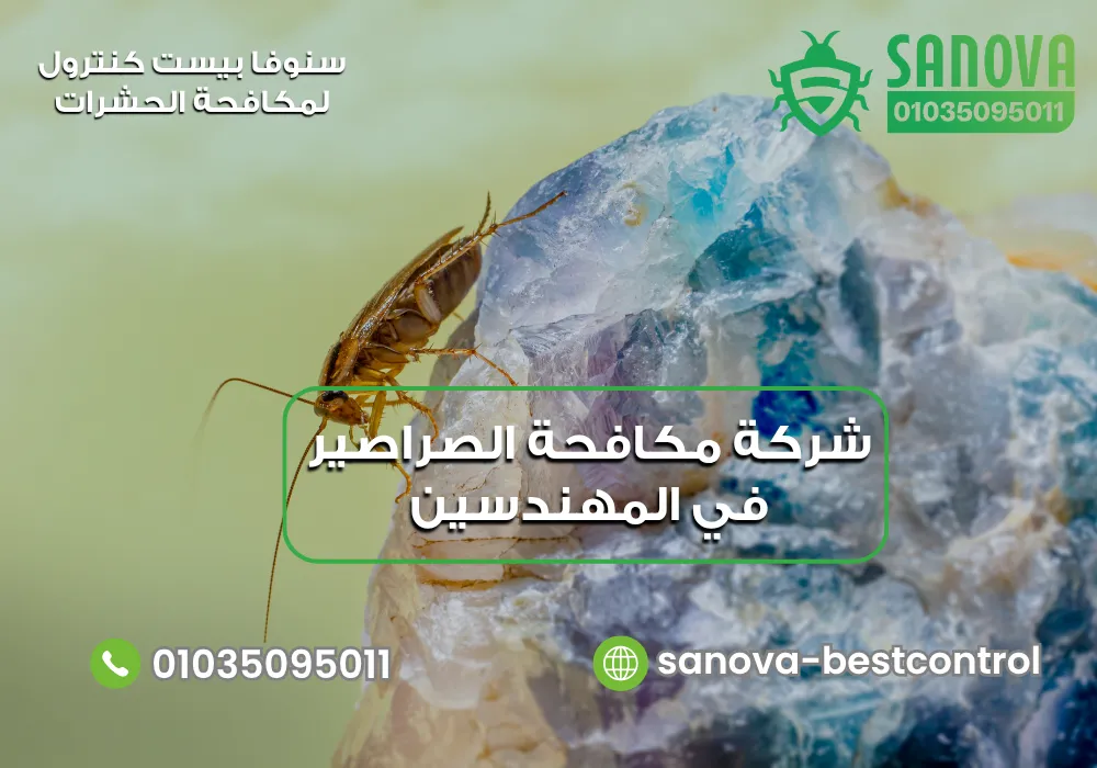 شركة مكافحة الصراصير في المهندسين | سنوفا 01035095011 شركة إبادة الصراصير في المهندسين مع سنوفا بست كنترول 01035095011