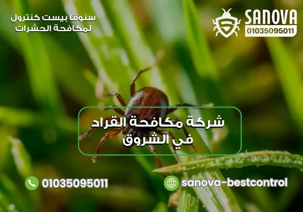 شركة مكافحة القراد في الشروق | سنوفا 01035095011 شركة إبادة القراد في المقطم سنوفا 01035095011