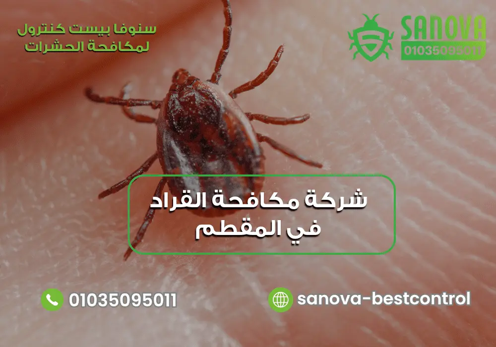 شركة مكافحة القراد في المقطم | سنوفا 01035095011