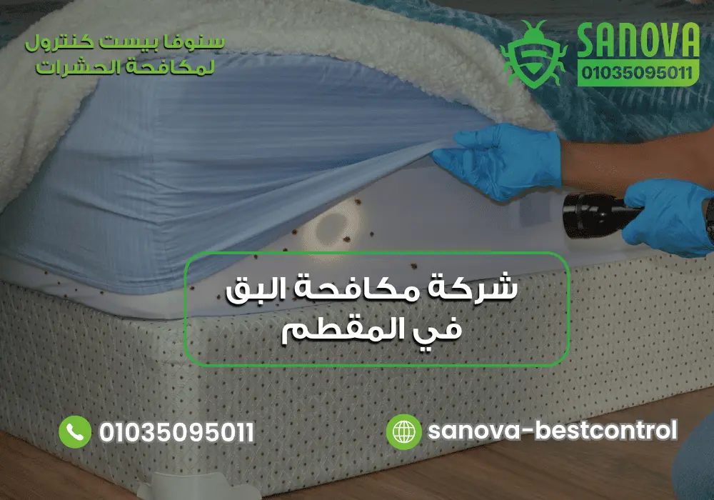 شركة مكافحة البق في المقطم | سنوفا 01035095011