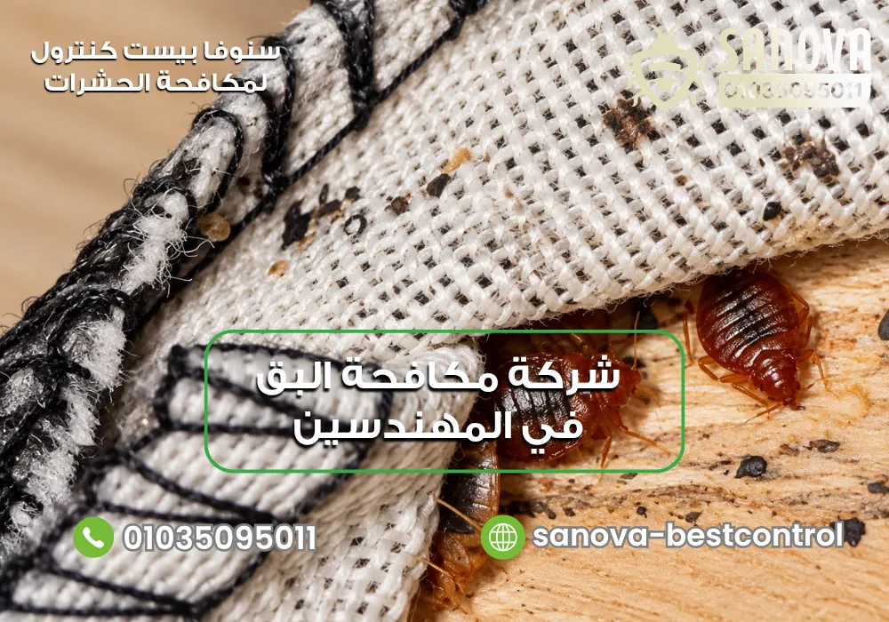 شركة رش البق في المهندسين مع سنوفا بست كنترول 01035095011
