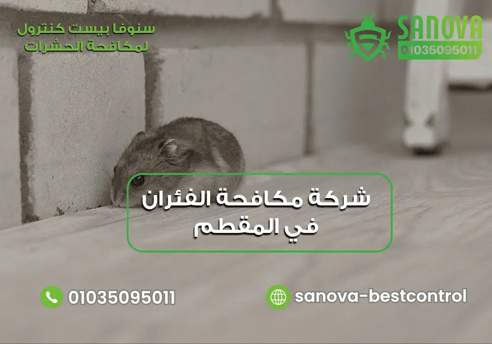 شركة مكافحة الفئران في المقطم | سنوفا 01035095011 شركة رش الفئران في المقطم مع سنوفا بست كنترول 01035095011