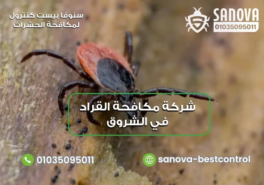 شركة مكافحة القراد في الشروق | سنوفا 01035095011 شركة رش القراد بالمقطم سنوفا 01035095011