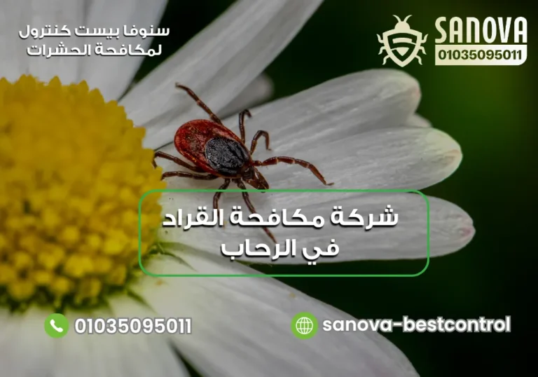 شركة مكافحة القراد في الرحاب | سنوفا 01035095011