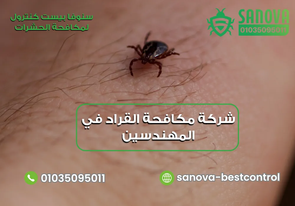 شركة مكافحة القراد في المهندسين | سنوفا 01035095011