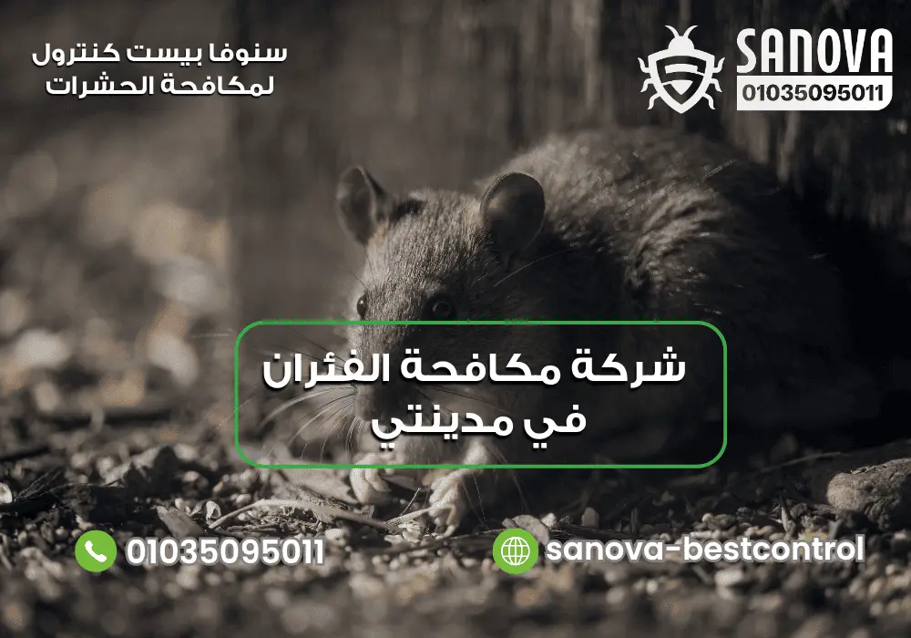 شركة رش فئران في مدينتي مع سنوفا 01035095011