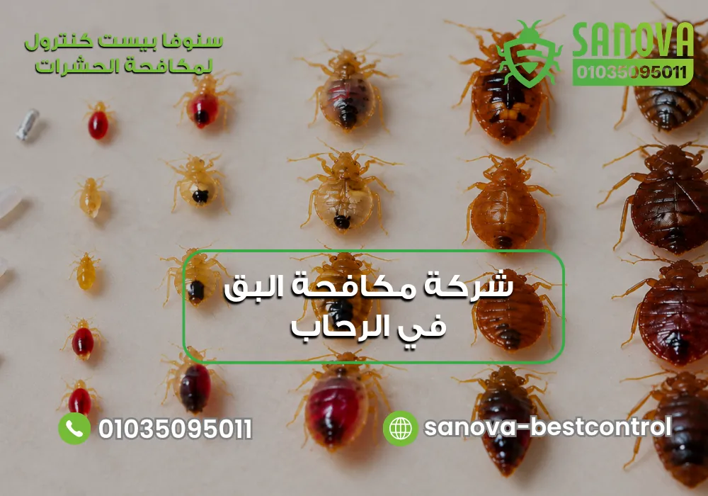شركة مكافحة البق في الرحاب | سنوفا 01035095011