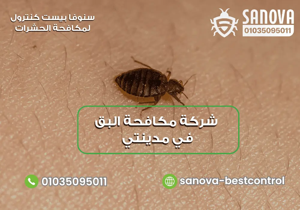 شركة مكافحة البق في مدينتي | سنوفا 01035095011 شركة مكافحة البق في مدينتي مع سنوفا بست كنترول 01035095011