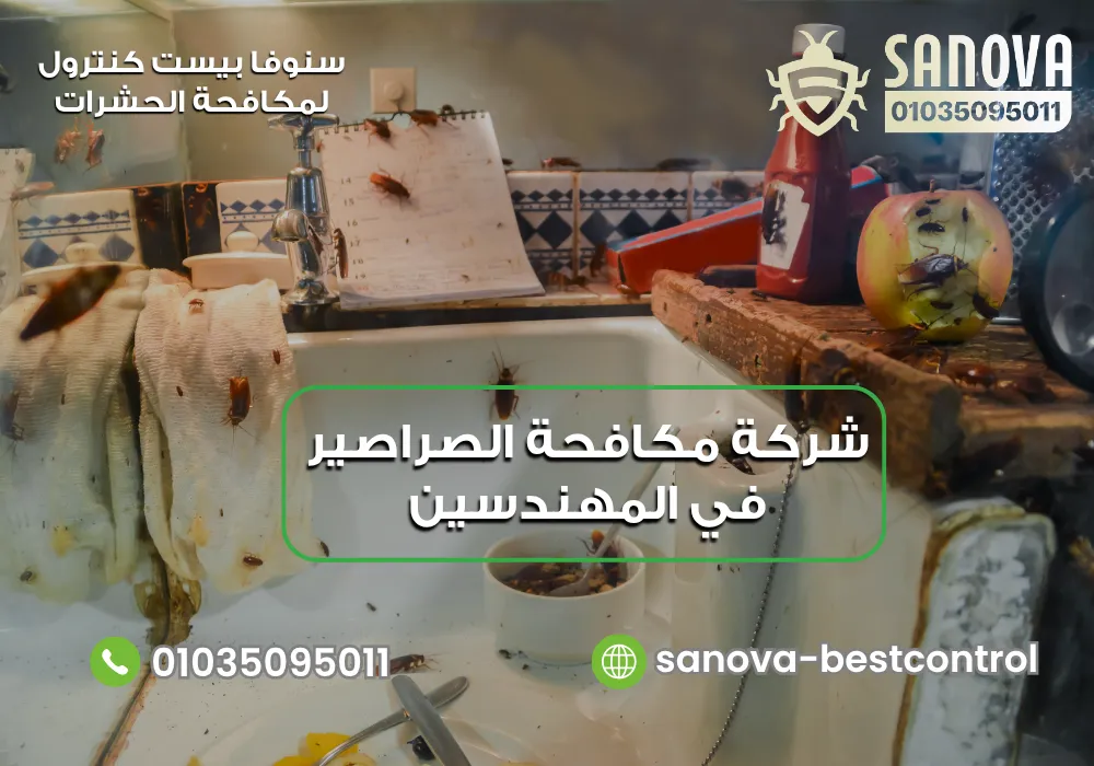 شركة مكافحة الصراصير في المهندسين | سنوفا 01035095011